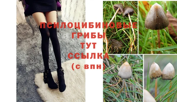 мдма Инта