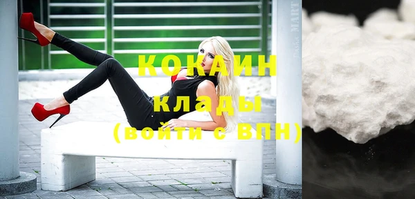 стаф Каменка