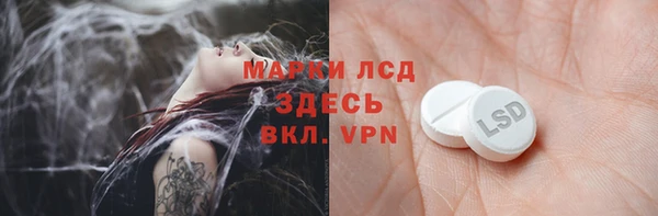 стаф Каменка