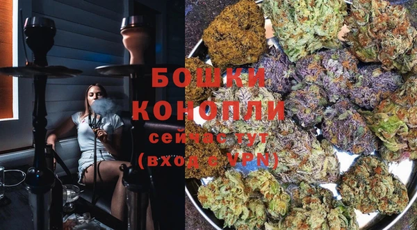 стаф Каменка