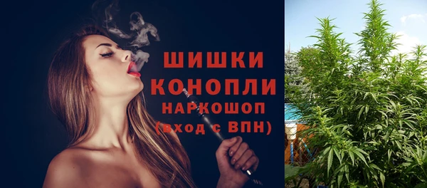 не бодяженный Каменногорск