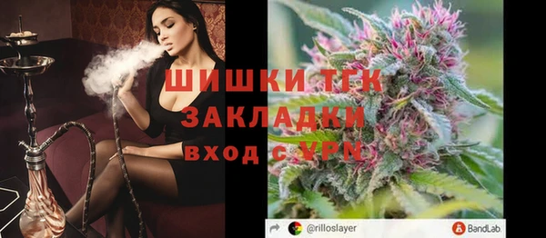 стаф Каменка