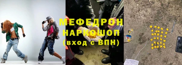 стаф Каменка