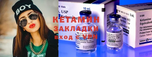 стаф Каменка